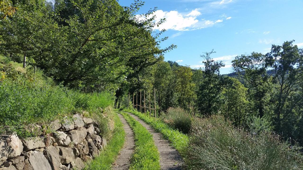 Agriturismo San Genesio Rovagnate Dış mekan fotoğraf